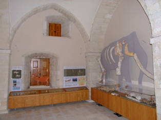 Museum of Paleontology - Rethymnon
