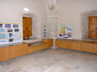 Museum of Paleontology - Rethymnon