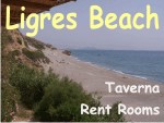 link to Ligers Beach Website